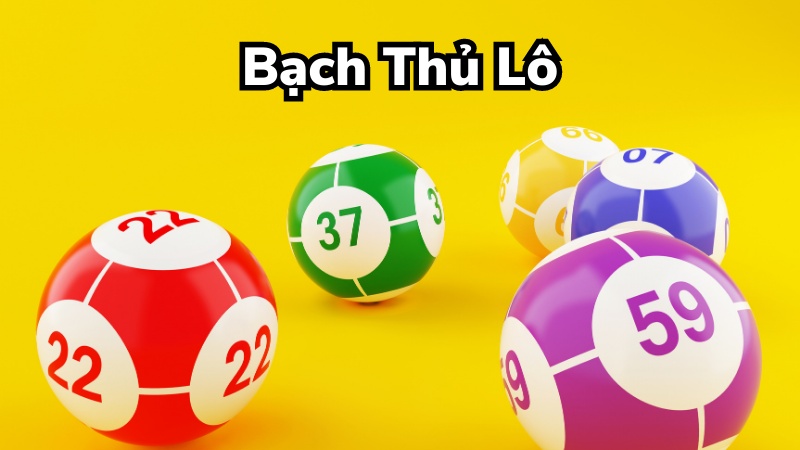 Soi Cầu Bạch Thủ Lô Miễn Phí