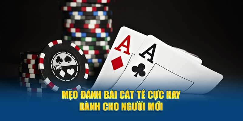 catte shbet trai nghiem khong gioi han 6810c3c1a595c