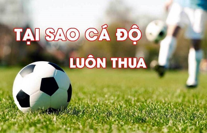 Tại sao cá độ bóng đá luôn thua? #6 Sai lầm ngu hay gặp