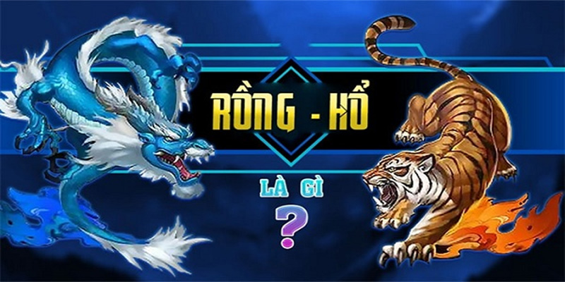 Kinh Nghiệm Chơi Rồng Hổ Đỉnh Như Dân Chuyên Tại MM99